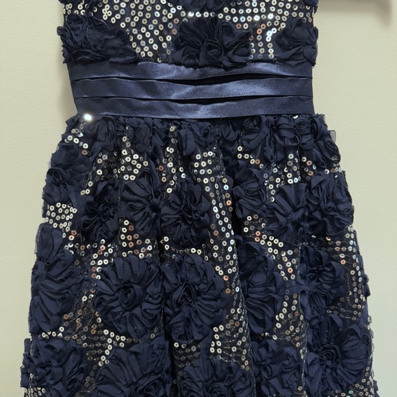Cinderella Special Occasion Floral Rosettes Sequin Dress Size 7 - Picture 3 of 11